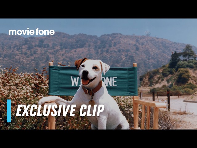What's the Story, Wishbone? | Exclusive Clip | Soccer the Dog, Mary Chris Wall