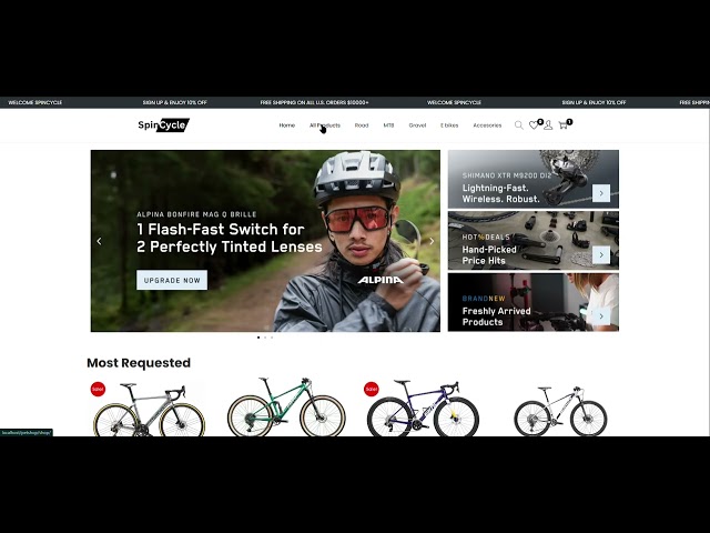 An e-coomerce website with a free theme.