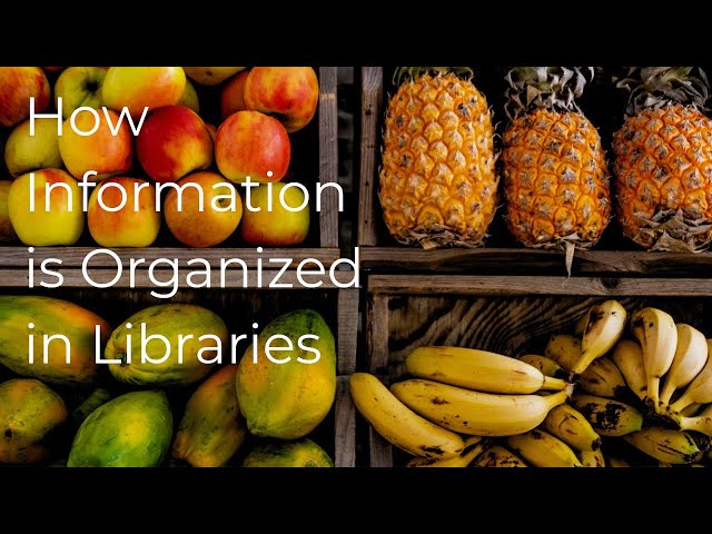 How Information is Organized in Libraries