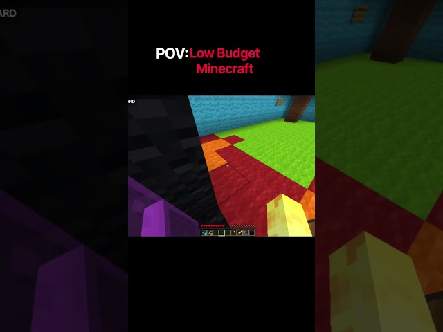 POV Low Budget Minecraft!🤣 #minecraft