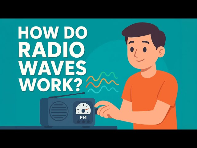 How Do Radio Waves Work? |Radio Waves कैसे काम करती हैं?