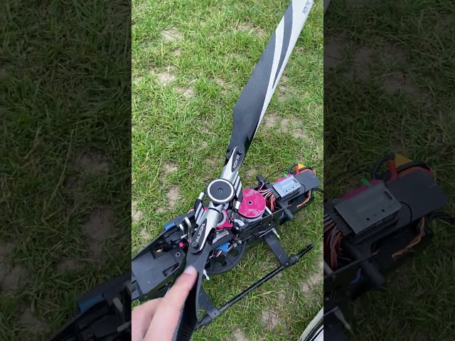 Trex 550L Blade Strike Crash #shorts
