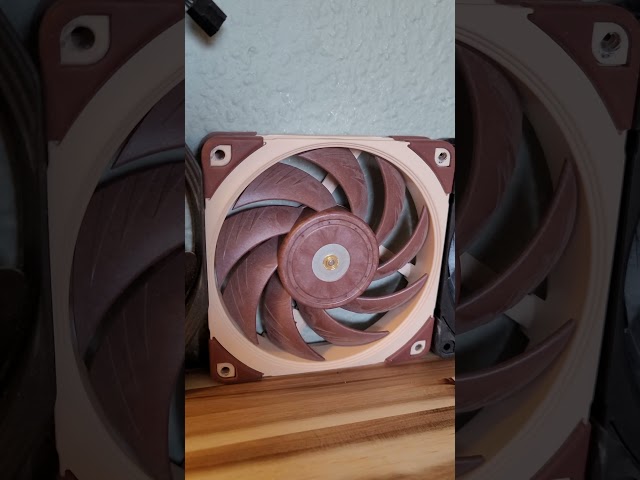 Noctua Fans - COLORS - I am a nightmare walking