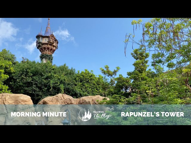 Walt Disney World - Magic Kingdom - Fantasyland - Rapunzel's Tower (4K) (HD)