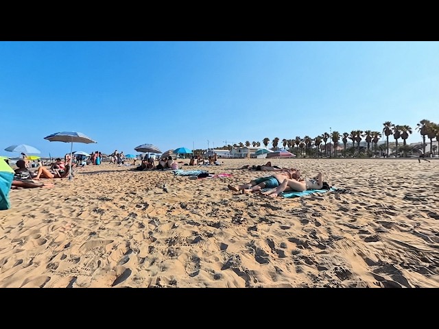 🧠 PSYCHOLOGICAL DETOX: TAKE A MINDFUL STEP INTO SPANISH REALITY | 8K VR