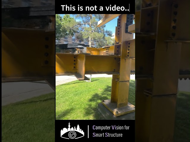 This is a NeRF
