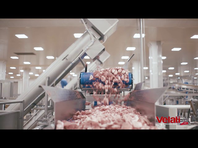 Salami Processing Line - 10 ton/h