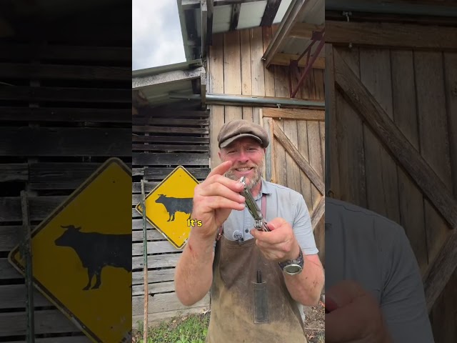 Overrated vs. Underrated Homestead Tools
