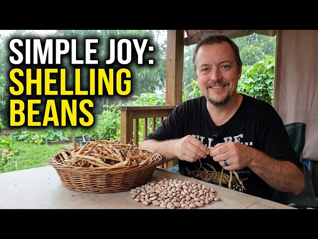 Life Lessons from the Garden: Shelling Beans on a Rainy Day!