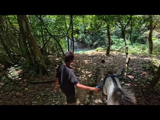 Why This Side of the Dominican Republic Sells Itself