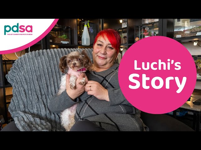 Luchi’s story | PDSA Pet Patient
