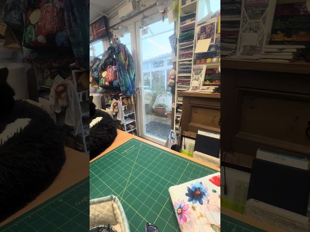 Noisy in the Therapy Cupboard today!😳 #patchwork #quilting  #abbieanne #hail #blackcattom #fabric