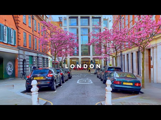 Spring in London 🌸 | Kensington | Best London Walks