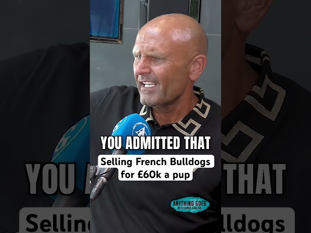 Selling French Bulldogs for £60k a pup