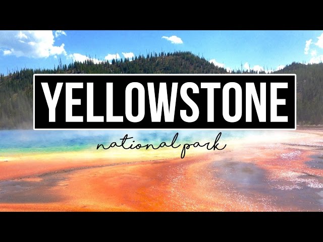 Exploring Yellowstone National Park - a Drivin' & Vibin' Travel Vlog