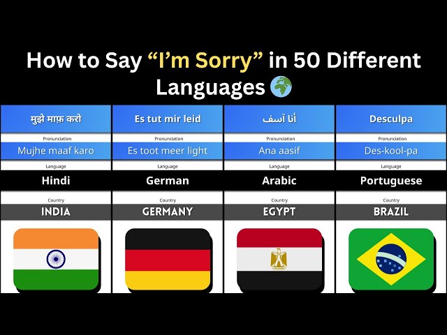 50 Countries, 50 Apologies | Which One Surprised Me Most?