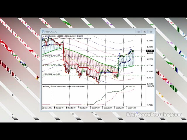 What is MQL programming? Easy Forex Learning.