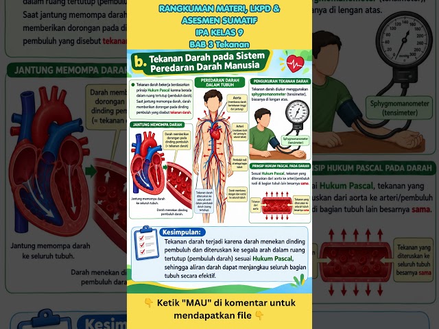 Rangkuman Materi, LKPD & Asesmen Sumatif Kelas 9 IPA Bab 3 Tekanan