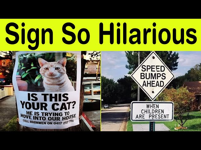 Signs So Hilarious You’ll Wonder If They’re Real – Comedy Perfection! || Happy Panda