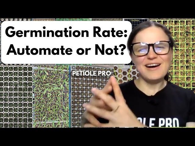 AI Germination Counting: Yes or No?