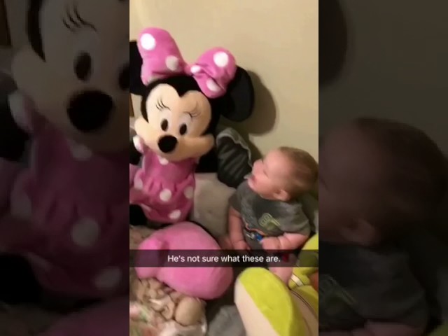 Stuffed animal baby scare