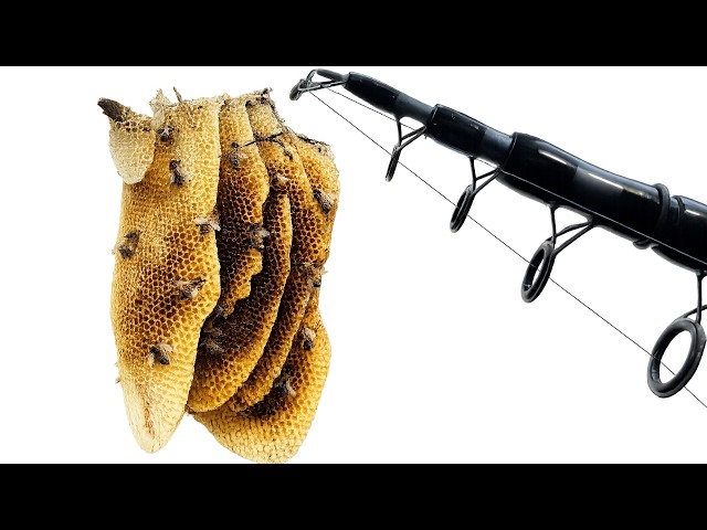 Fish Can't Resist This! How to Make Ultimate Honey Black Bread Bait