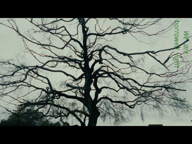 We Are Borrowed Light — A Poetic Film on Humanity’s Place in Nature