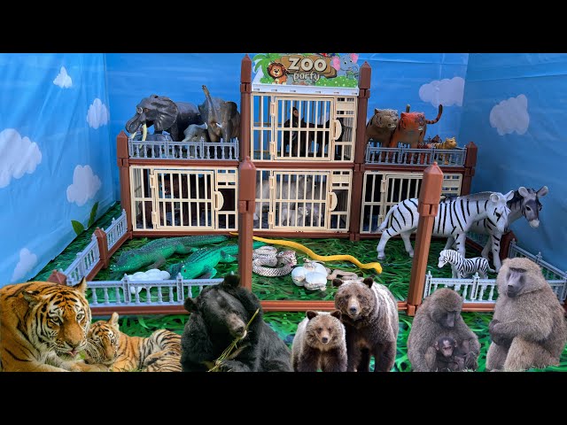 Animal Families In The Amazing Zoo | Toy Animals | Tiger Family, Elephant Family, Bears Family 