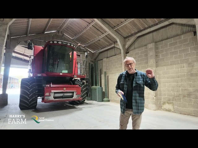 Still no rain & turns out harvest wasn't as good as I expected. Is it even worth sowing wheat again?