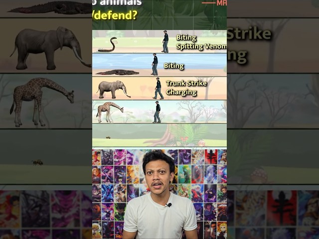 How Do Animals Attack? ๐ฆ๐ฆ