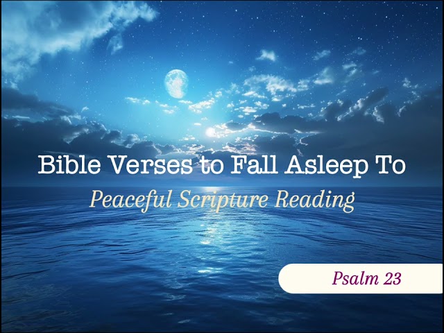 Bible Verses to Fall Asleep To | Peaceful Scripture Reading (30 Minutes)