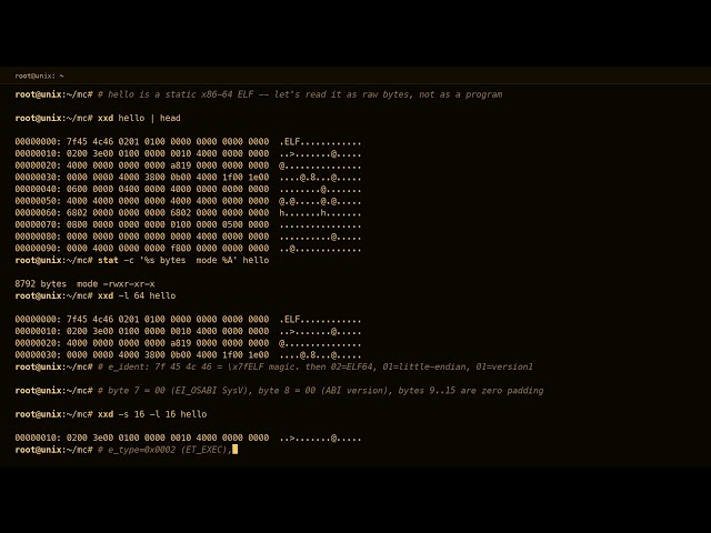 Machine Code on an Amber Unix Terminal — ELF Bytes, xxd & objdump · 8 Hours · Keyboard + Drone