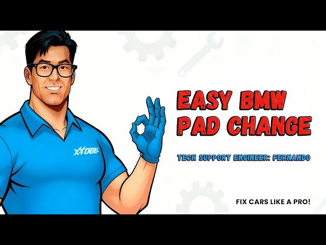 BMW EASY PAD CHANGE
