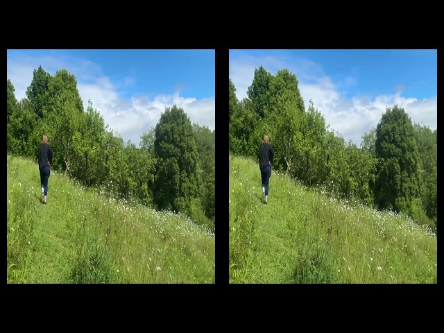 The Nature Reserve Filmed in Spacial 3D on the iPhone 15 Pro Max