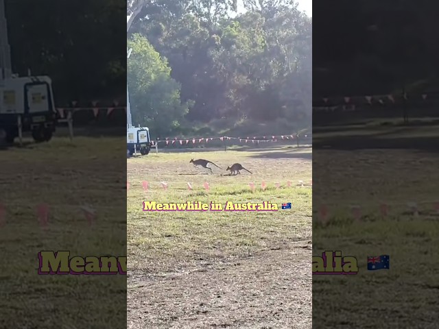 Just another day down under 🤣