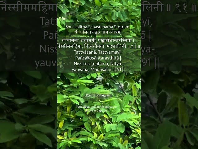 Shri Lalitha Sahasranamam Shloka 91 | Tattvāsanā Tattvamayī | Mother Lalita Devi  |Just Sudha Gyan