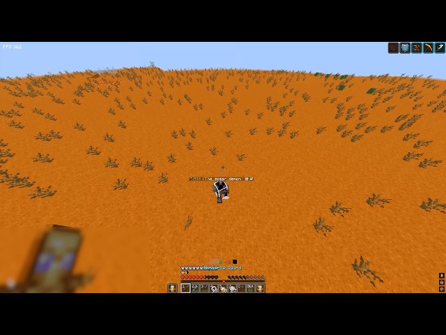 Echo client vs MCPVP