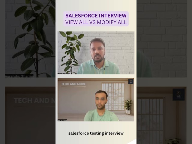 View All vs Modify All in Salesforce — 30s Explanation