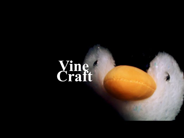 100 Days or Hardcore: day 1. VineCraft plays Minecraft, Java Edition