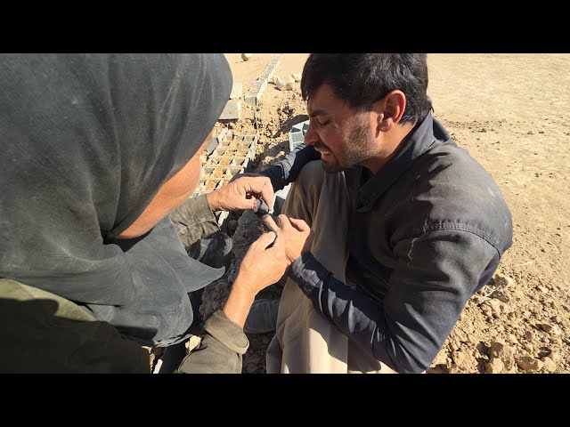 Grandmother's heart trembling at what happened to Hossein.