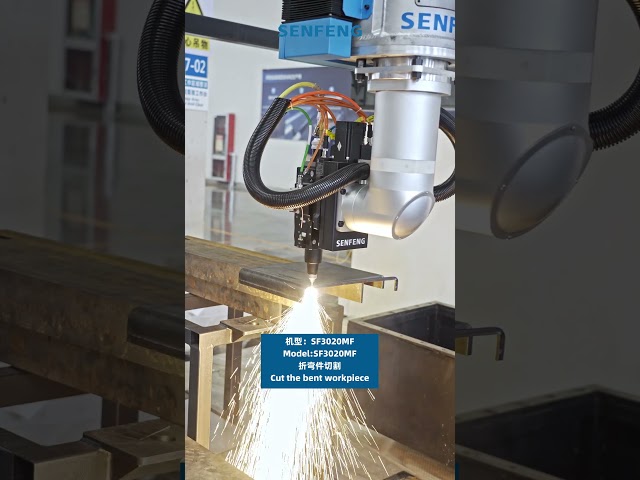 SF3020MF 3D 5 Axis Laser Cutting |  Bent Work Piece