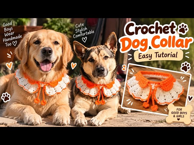 How to Crochet Dog & Cat Collar 🐶🐱🧶 | Easy Pet Collar Tutorial for Beginners | DIY Pet Collar