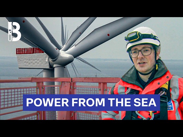 Engineering the World's Largest Offshore Wind Farm: the London Array | Blueprint