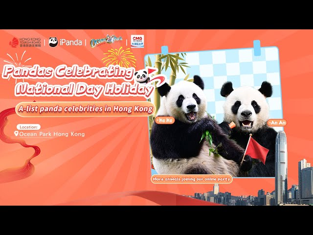Broadcast: Pandas Celebrating National Day Holiday! | iPanda
