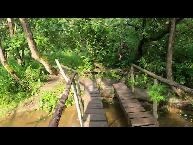 Grivno - Podolsk 2025 cross country run