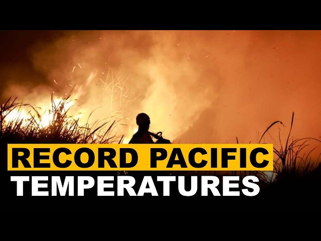 Pacific Ocean Temperatures Rocket As El Nino Hits Record Breaking Levels