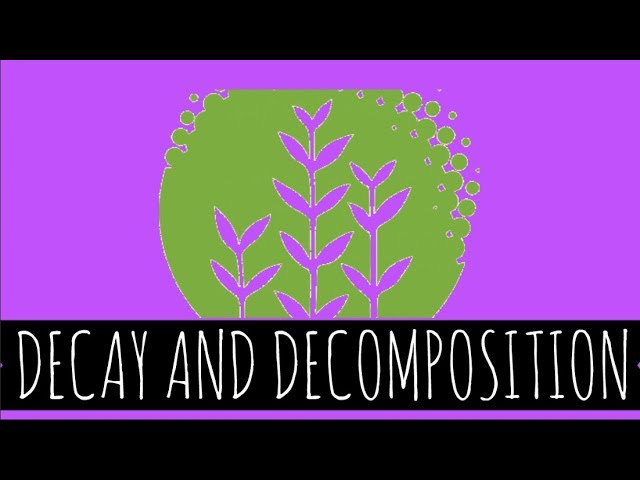 Decay and Decomposition - How Does Decay and Decomposition Work? - GCSE Biology
