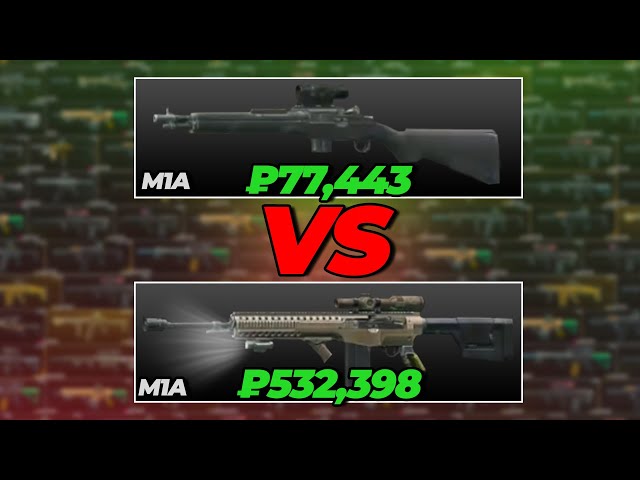Are Meta Attachments Worth Buying? - Cheap Vs Expensive M1A!