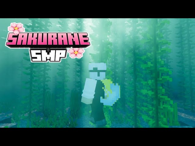 SAKURANE SMP