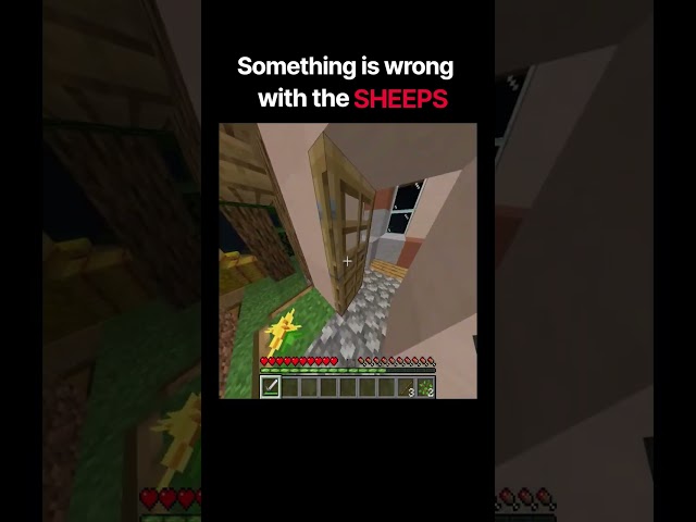 MINECRAFT SHEEP but they are not real #shorts